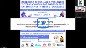 Seminario. Derechos personales, violencia y otras conductas indeseables en internet y redes sociales